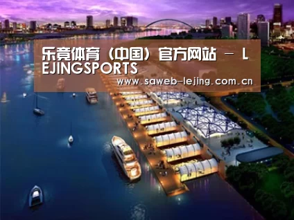 案例展示八