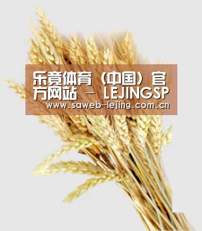 乐竟体育（中国）官方网站 - LEJINGSPORTS