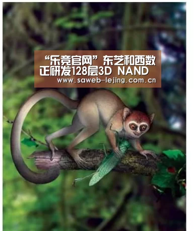 “乐竞官网”东芝和西数正研发128层3D NAND闪存最早2020年上市(图2) 乐竞俱乐部